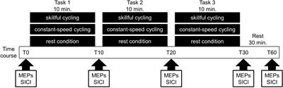 Skillful Cycling Training Induces Cortical Plasticity in the Lower Extremity Motor Cortex Area in Healthy Persons